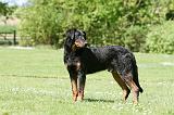 BEAUCERON 825